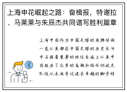 上海申花崛起之路：奋楫报，特谢拉、马莱莱与朱辰杰共同谱写胜利篇章