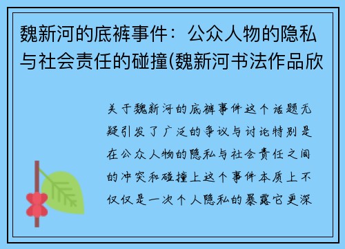 魏新河的底裤事件：公众人物的隐私与社会责任的碰撞(魏新河书法作品欣赏)