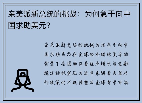 亲美派新总统的挑战：为何急于向中国求助美元？