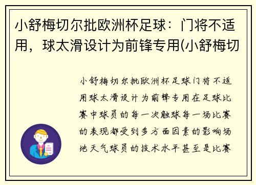 小舒梅切尔批欧洲杯足球：门将不适用，球太滑设计为前锋专用(小舒梅切尔厉害吗)