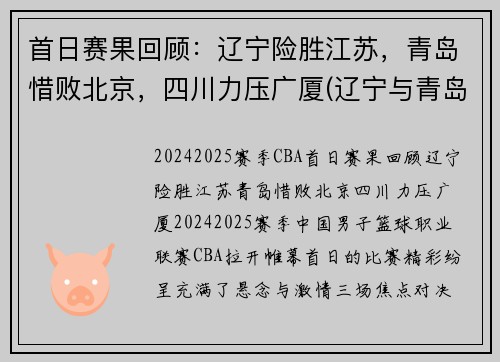 首日赛果回顾：辽宁险胜江苏，青岛惜败北京，四川力压广厦(辽宁与青岛队比赛)